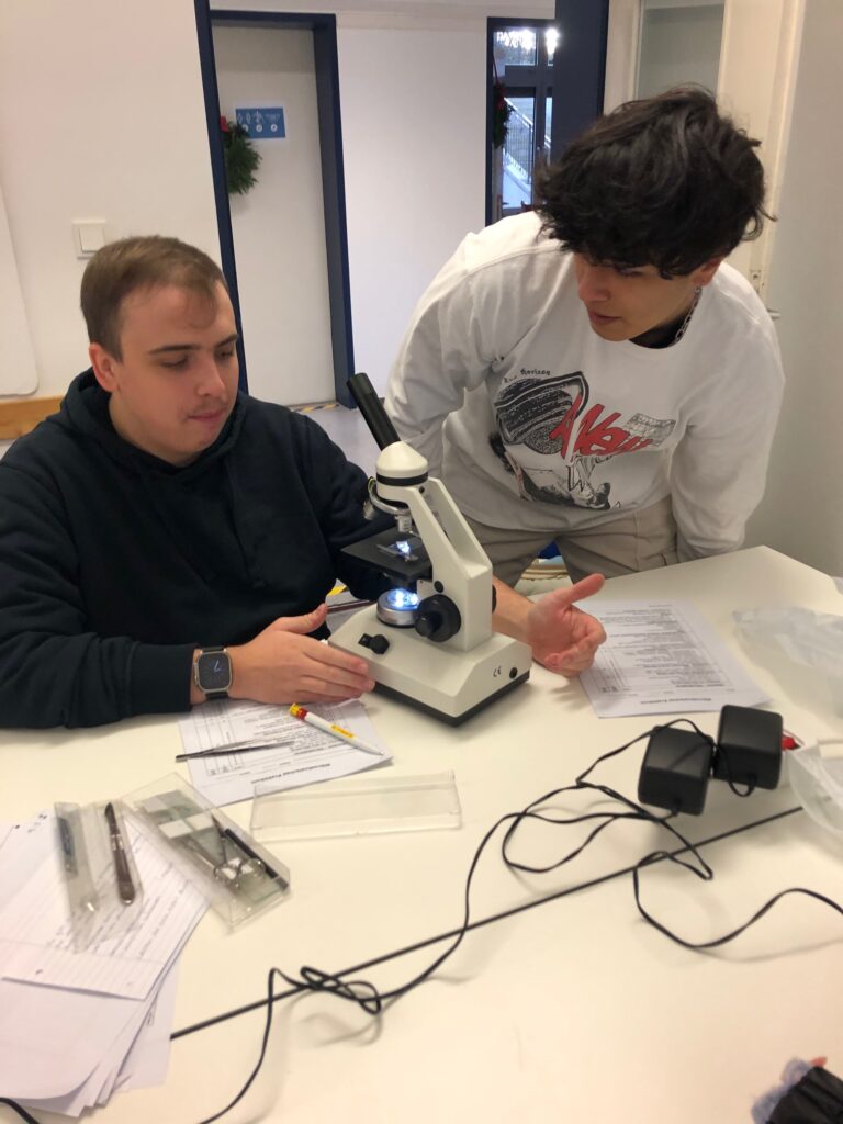 Mikroskopieren in Biologie